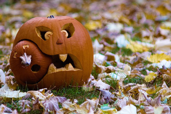 Идеи на Хэллоуин: Самые забавные тыквы (ФОТО)