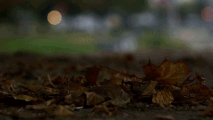 ТОП-7 причин похудеть этой осенью