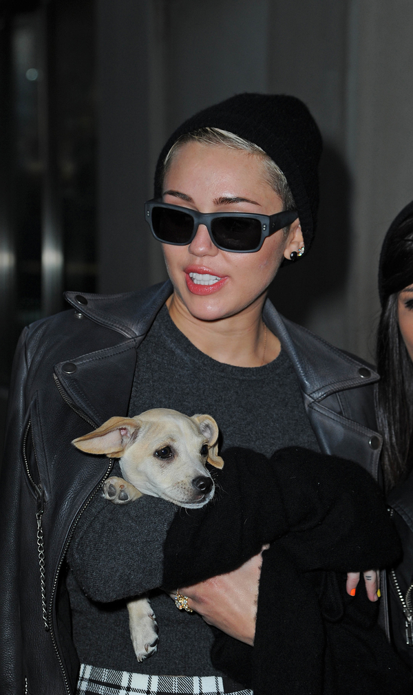 Модные головные уборы 2013: Звездные примеры