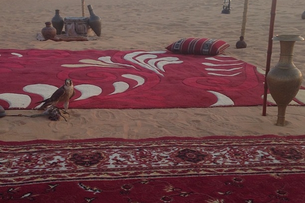 web.stagram.com/n/xenia_sobchak