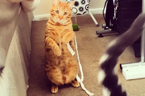 instagram.com/cecivzyl