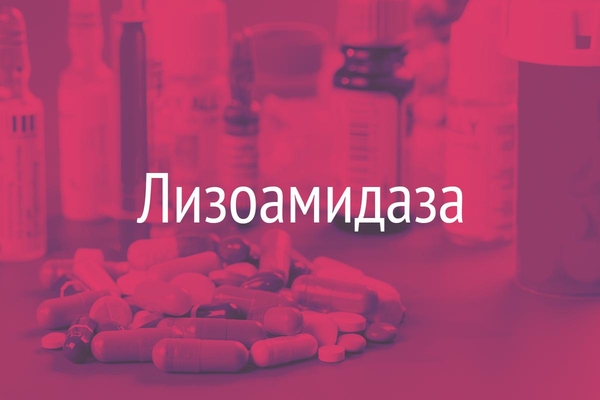 Лизоамидаза  (Lysoamidasa)