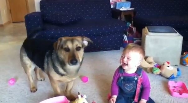 Заразительный смех: Ребенок троллит собаку