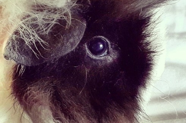 instagram.com/stacyv131