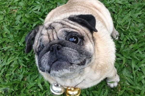 instagram.com/jickee