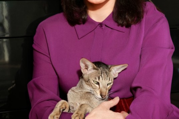 vk.com/tina_kandelaki