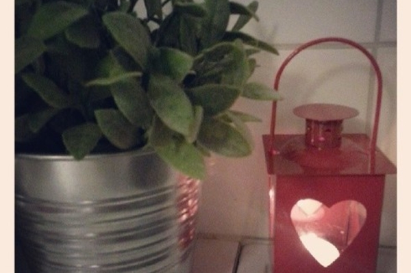 instagram.com/sardesarde