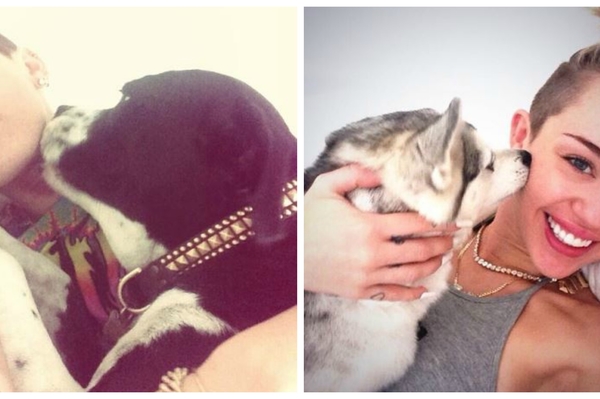 instagram.com/mileycyrus