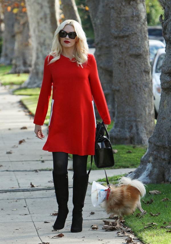 Look дня: Гвен Стефани