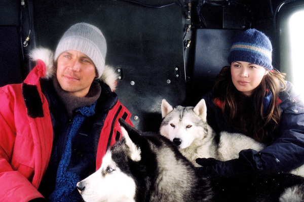 hollywoodreporter.com