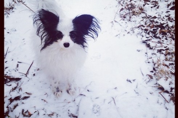 instagram.com/chicurbanhippie