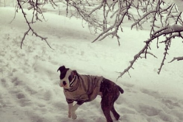 instagram.com/quincianajones