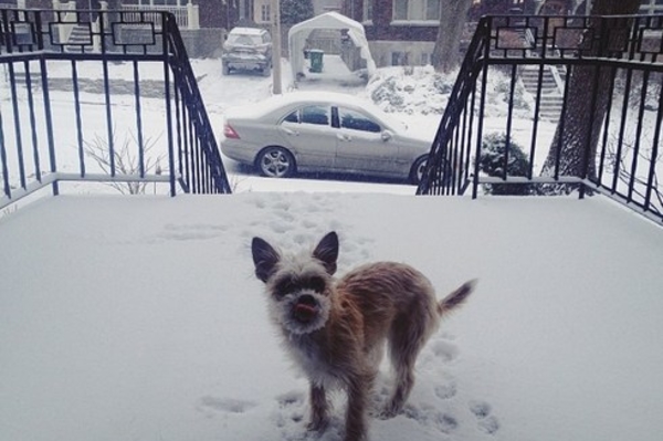 instagram.com/daeunjanet