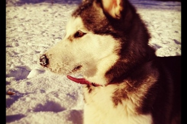 instagram.com/femanzaro