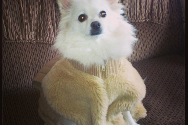 instagram.com/katya_casella