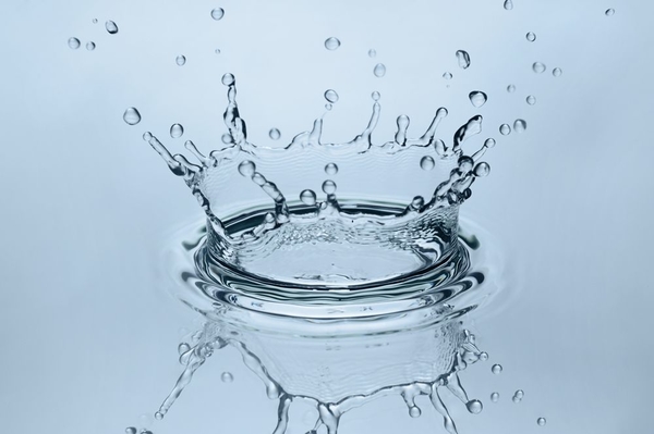 Викторина: Таинственный мир воды