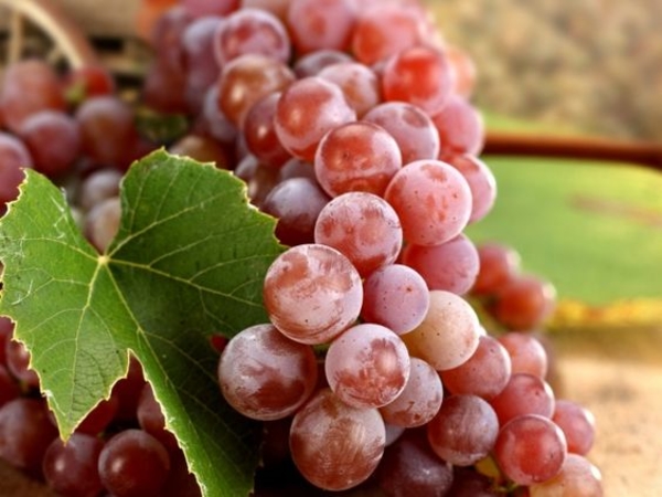 Что съесть в Новогоднюю ночь: ТОП-7 счастливых продуктов