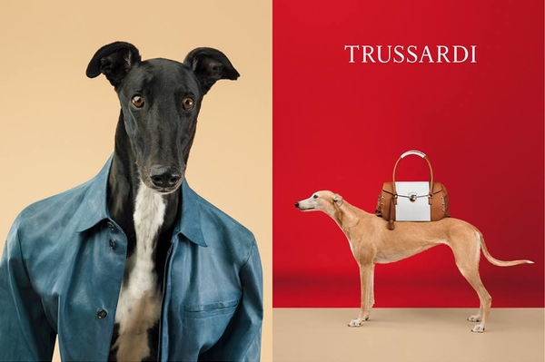 Facebook Trussardi