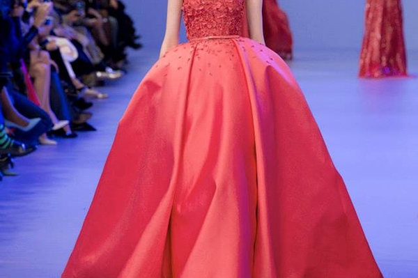 facebook Elie Saab