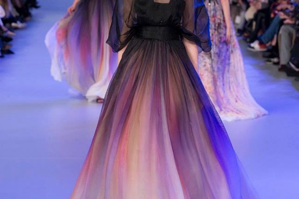 facebook Elie Saab
