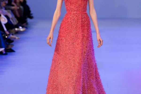facebook Elie Saab