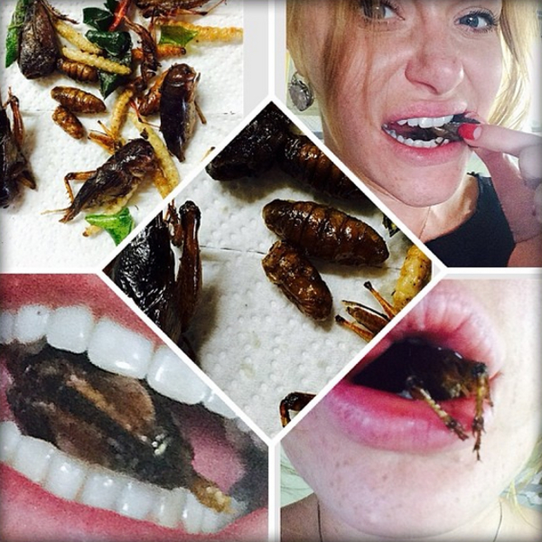 Слава из НеАнгелов наелась жуков