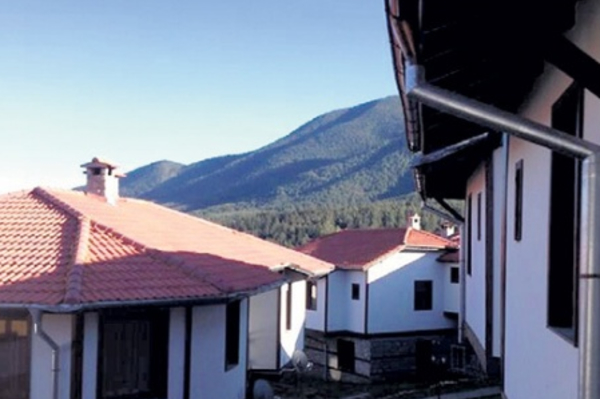 twitter.com/adomogarov/media