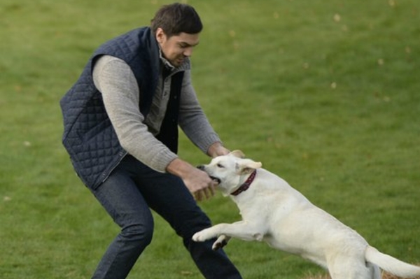 vk.com/kostyantynyevtushenko