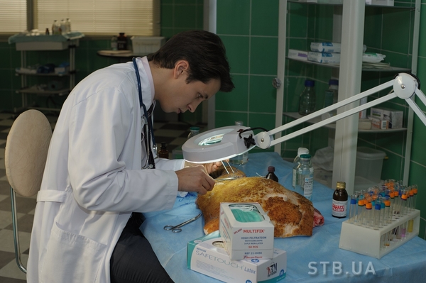 пресс-служба СТБ