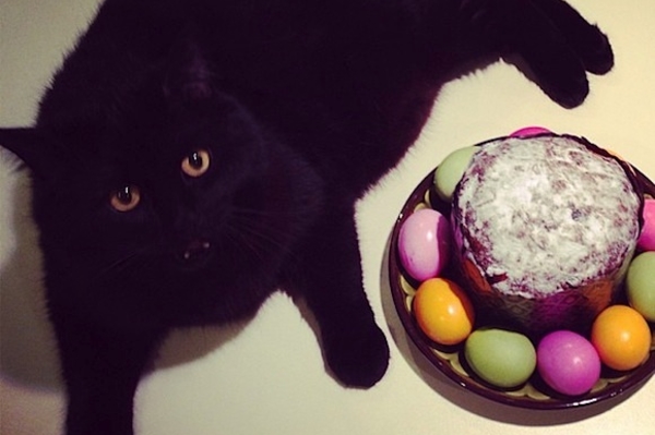 instagram.com/eggs_krjmrj1