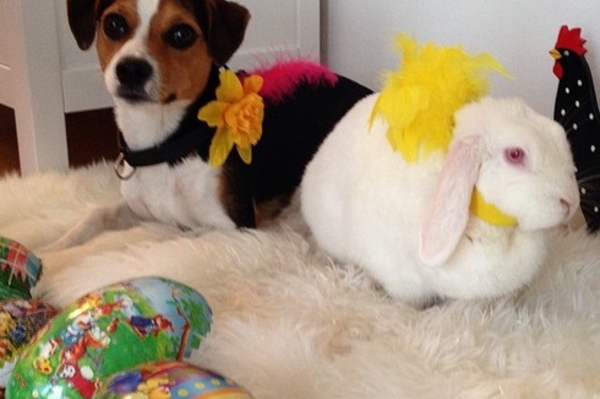 instagram.com/klara9712