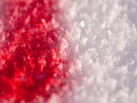 Кровь во время секса: что делать?