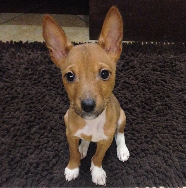 Кристина Асмус показала трогательное фото с дочерью