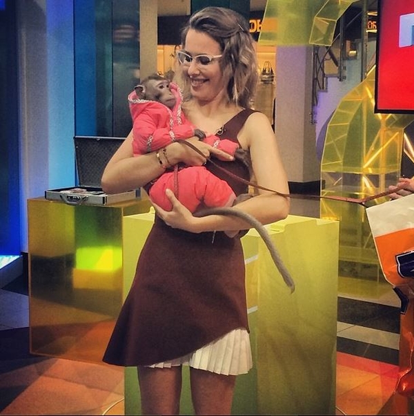 Собчак пошутила о своей беременности с обезьяной на руках: Родила
