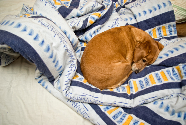 Зачем заправлять кровать: Советы фэн-шуй