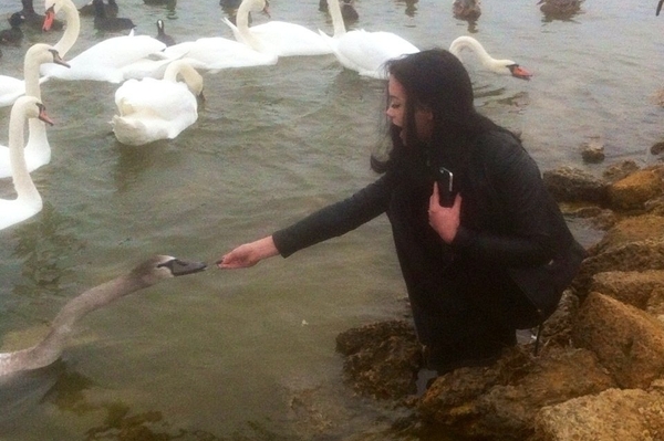 vk.com/masha_yaremchuk