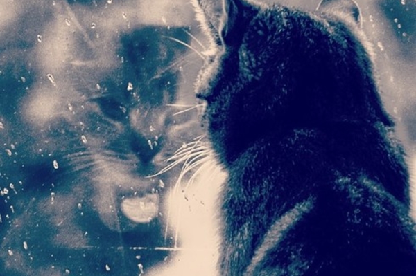 instagram.com/qa6wah_mal8ofah