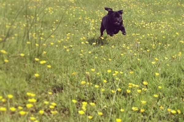 instagram.com/charlee_93