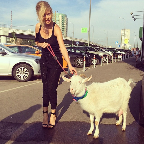 Певица Глюкоза прогулялась по Москве с козой