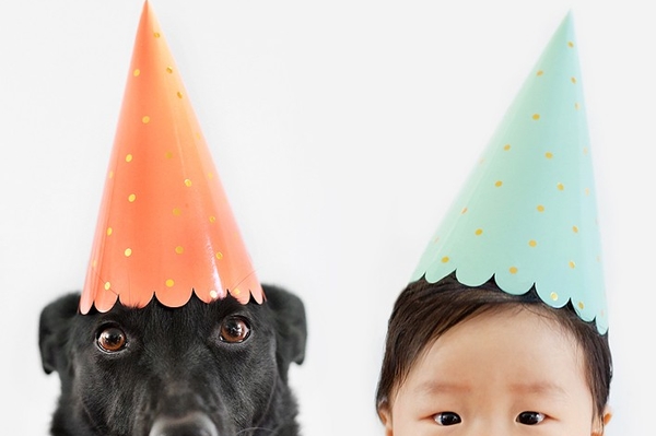 news.distractify.com