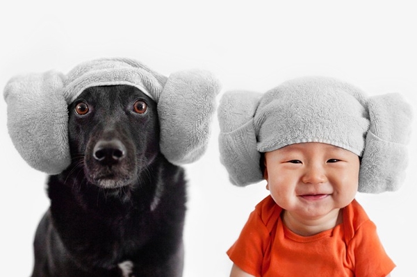 news.distractify.com