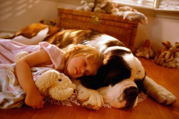 news.distractify.com