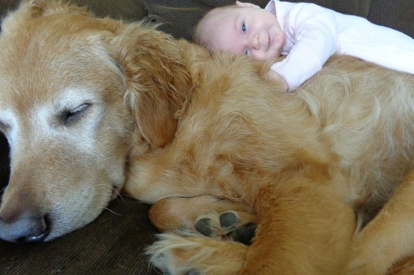 news.distractify.com