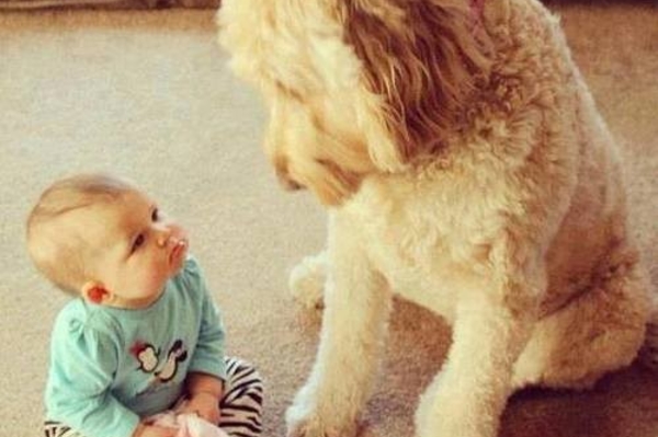 news.distractify.com