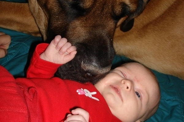 news.distractify.com