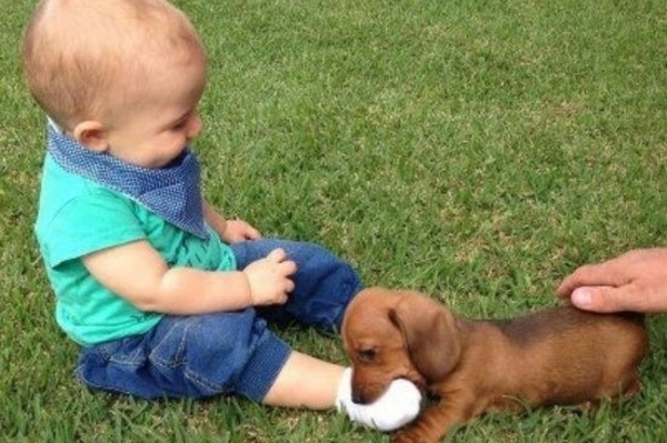 news.distractify.com