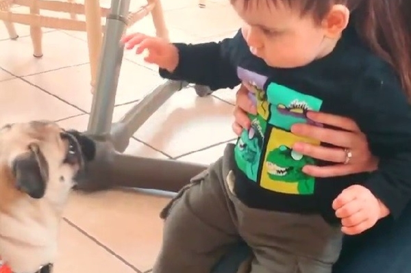 news.distractify.com