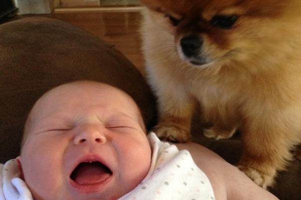 news.distractify.com