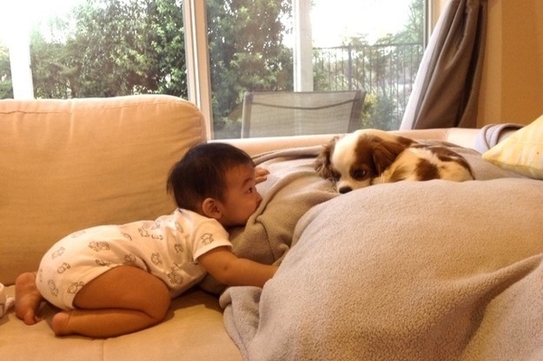 news.distractify.com