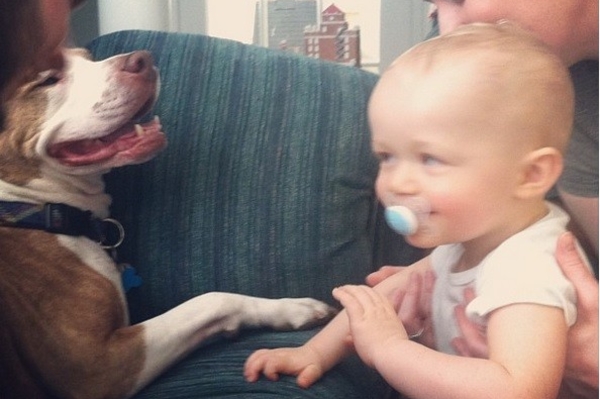 news.distractify.com